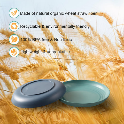 HEYCOME plates have a smooth edge for easy cleaning.