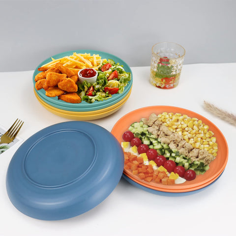 Homienly 10-inch plate with temperature resistance up to 120°C.