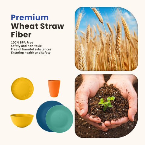 Homienly wheat straw kids plate 6in, safe for children and less worry for spills.