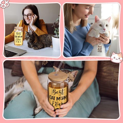 Honeydak gift-ready packaging suits cat lovers for special occasions