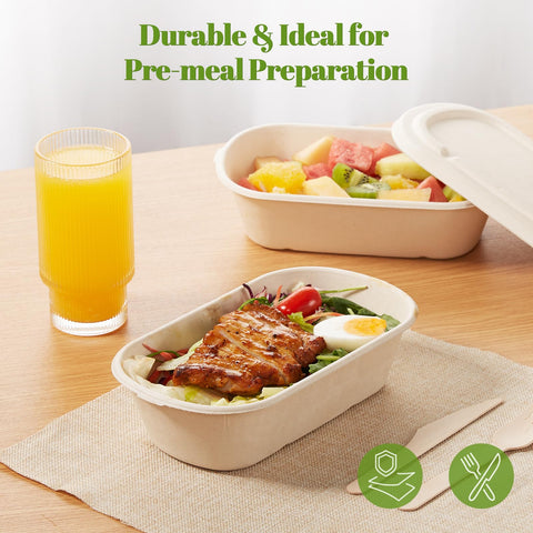 HorizonNest biodegradable sugarcane pulp packaging for eco-friendly food service.