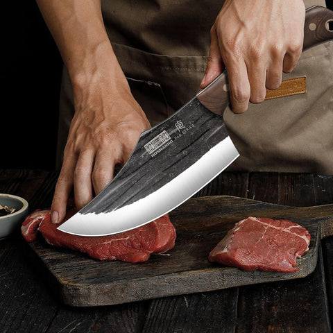 HOSHANHO 6.7-inch fillet knife for precise filleting