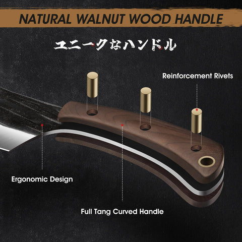 HOSHANHO high-carbon steel blade detail emphasizing durability and sharpness.