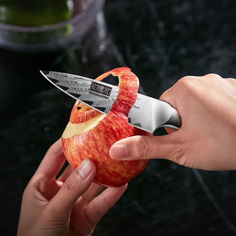 HOSHANHO paring knife with sandblasted finish supporting edge retention.