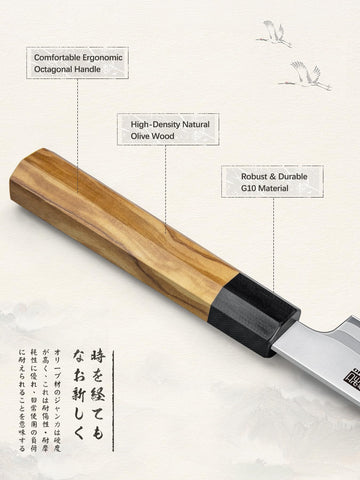 HOSHANHO 10-inch sashimi slicing blade ready for thin, clean fish cuts.