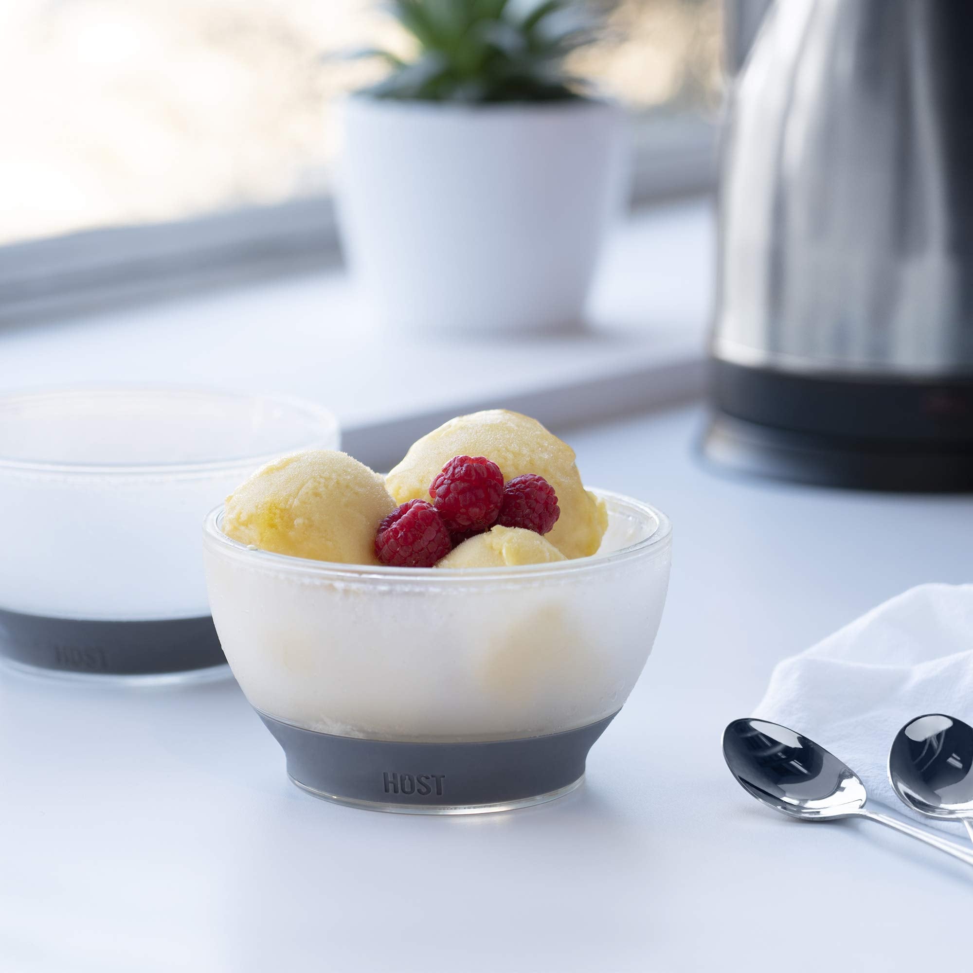Host Ice Cream Freeze Bowl freezer-ready for four hours of cooling.