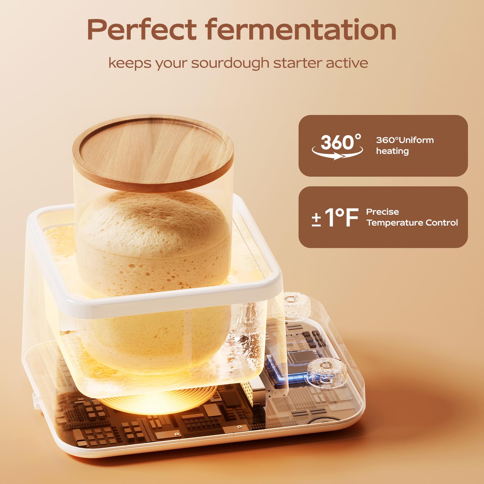 House Gem Sourdough Warmer shows precise temp control for reliable starters.