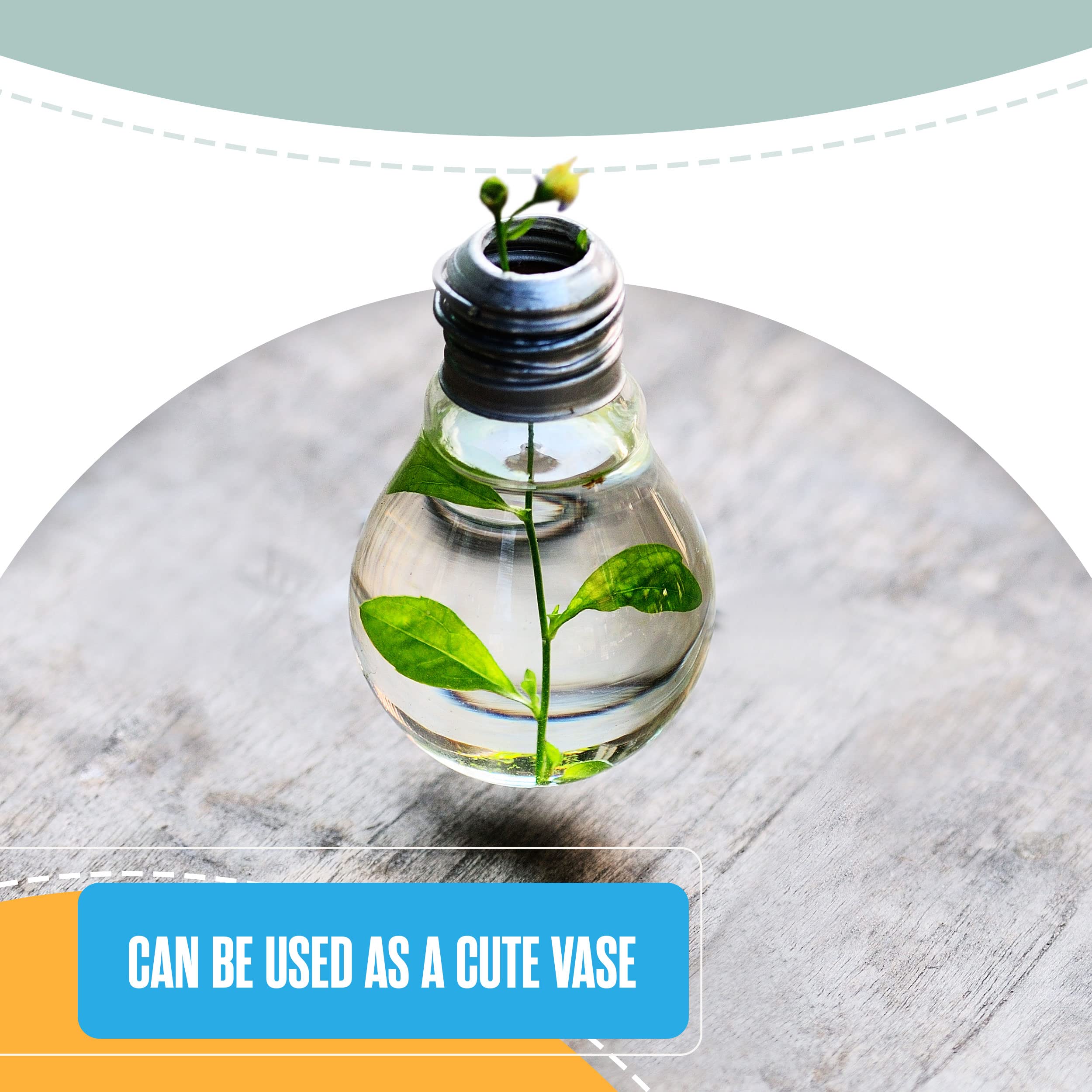 Houseables not-dishwasher-safe bulb care image—hand wash for longevity