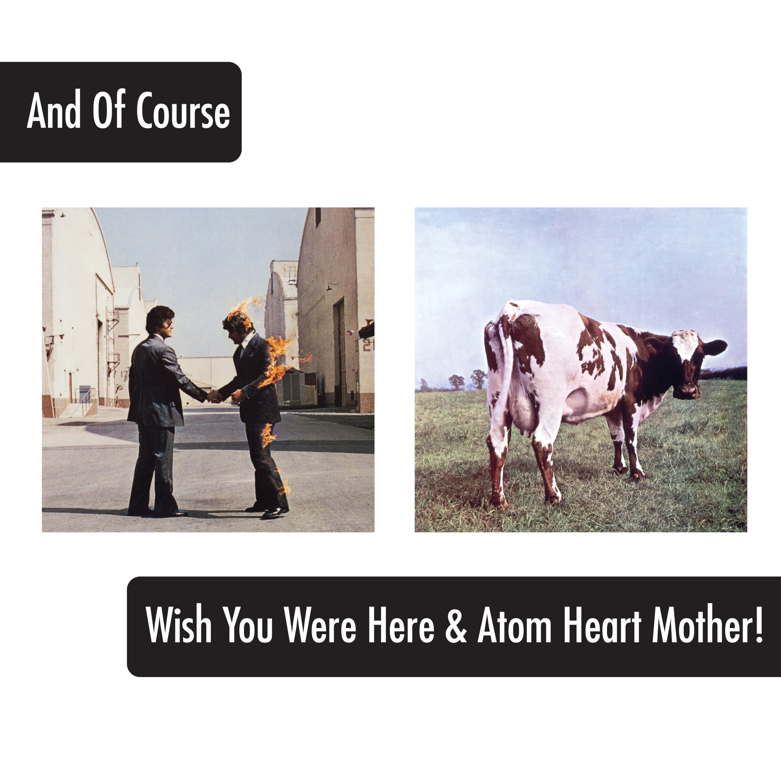 ICUP The Wall pint glass design with bold visuals, perfect for party settings.