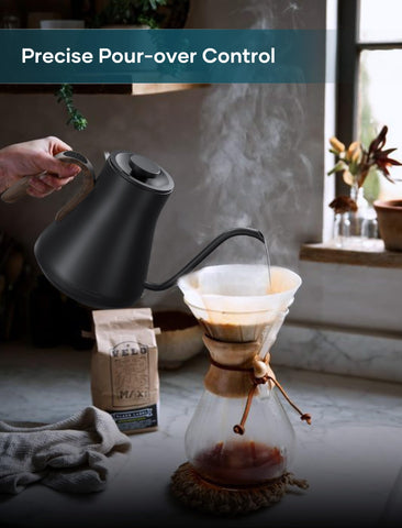 Intasting kettle with brew timer display for repeatable timing.