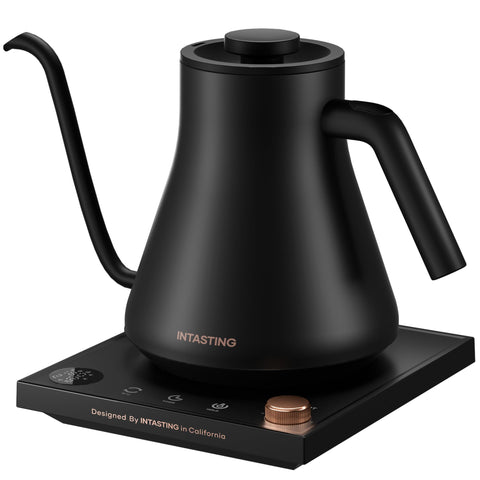 INTASTING electric kettle with gooseneck pour-over spout for precise water flow