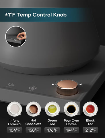 INTASTING kettle with temperature control display helps reach ideal brew temperature.