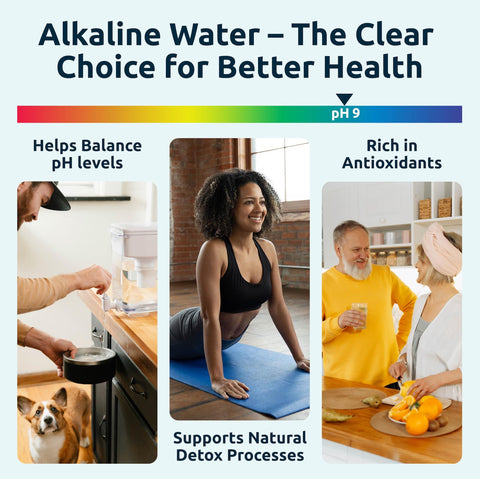 Invigorated Water compatible accessories like pH Vitality pitcher complement the system