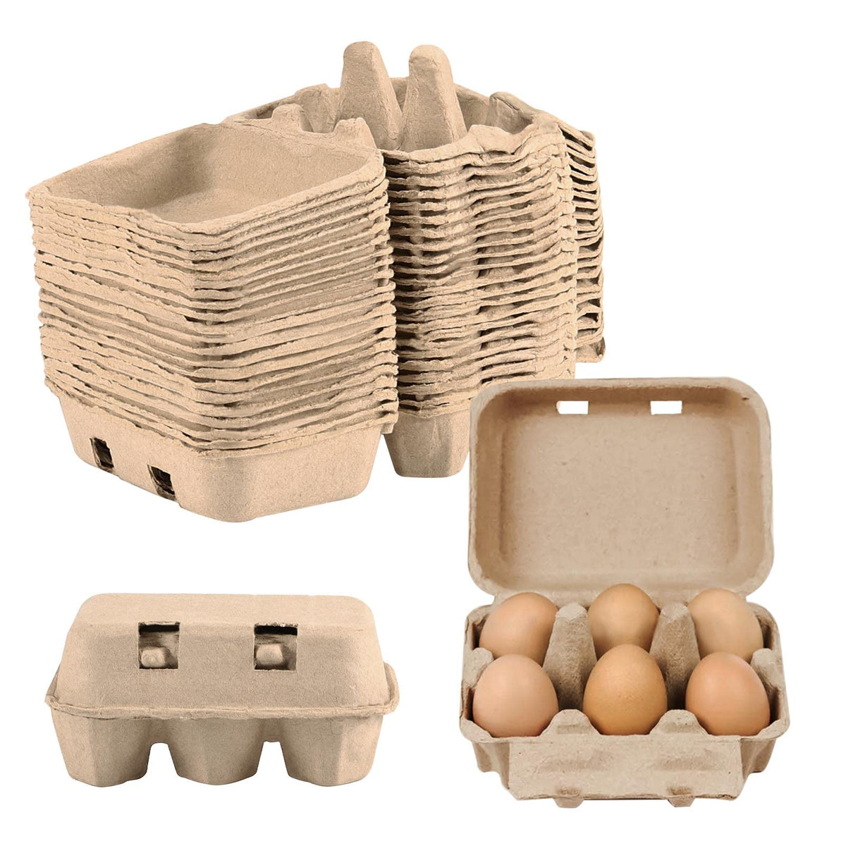 JAPCHET six-count egg carton securely holds eggs during transport.