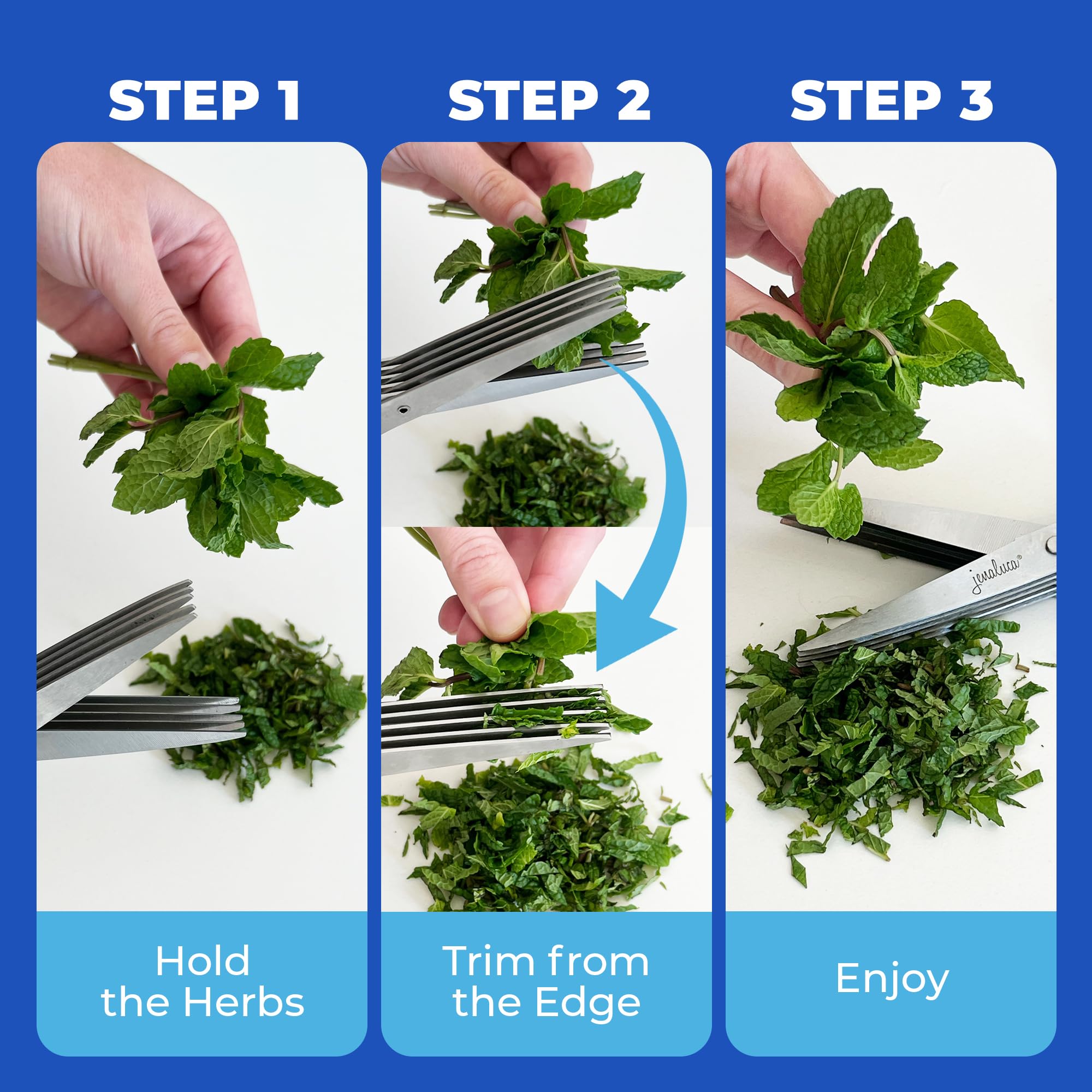 Jenaluca 5 Blade Herb Scissors dishwasher safe stainless steel blades