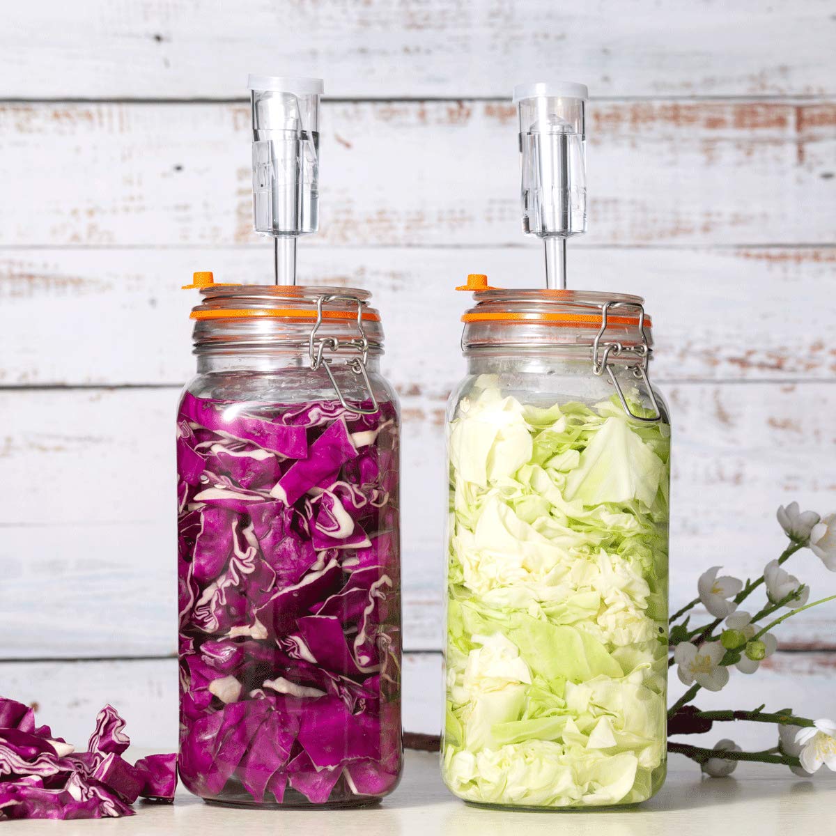 JILLMO lead-free glass for a crystal-clear view of fermenting