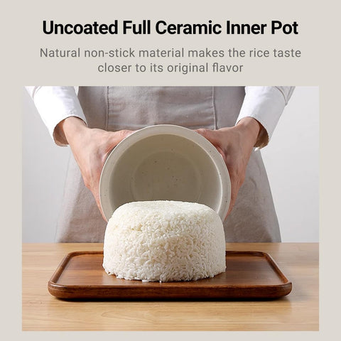 Joydeem FD20S-W control panel with presets for white rice, congee, soup, brown rice.