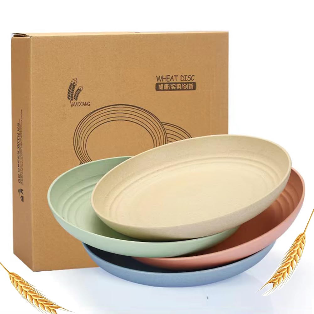 K Y KANGYUN kid-friendly plate, lightweight and unbreakable for school lunches