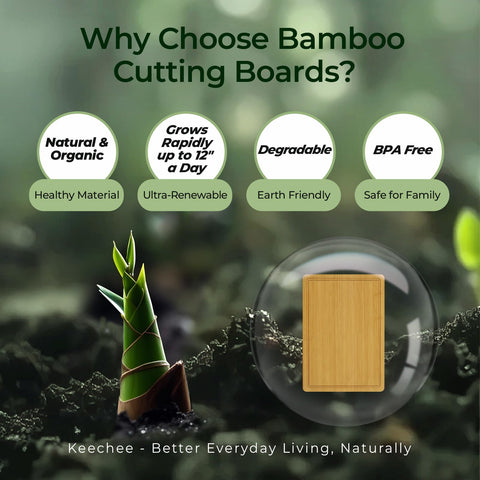 Keechee board features built-in handles for easy transport.