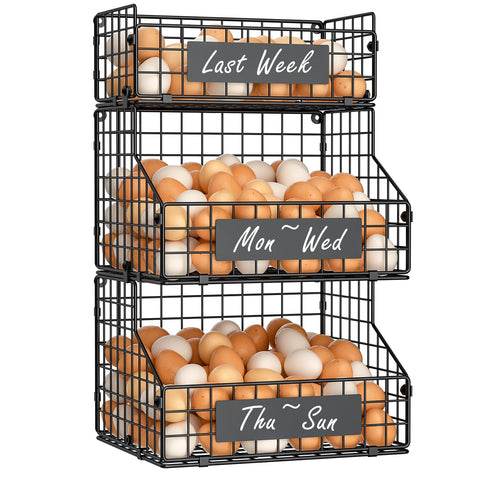 Keomaisyto egg holder viewed from top showing date-labels and labeling options