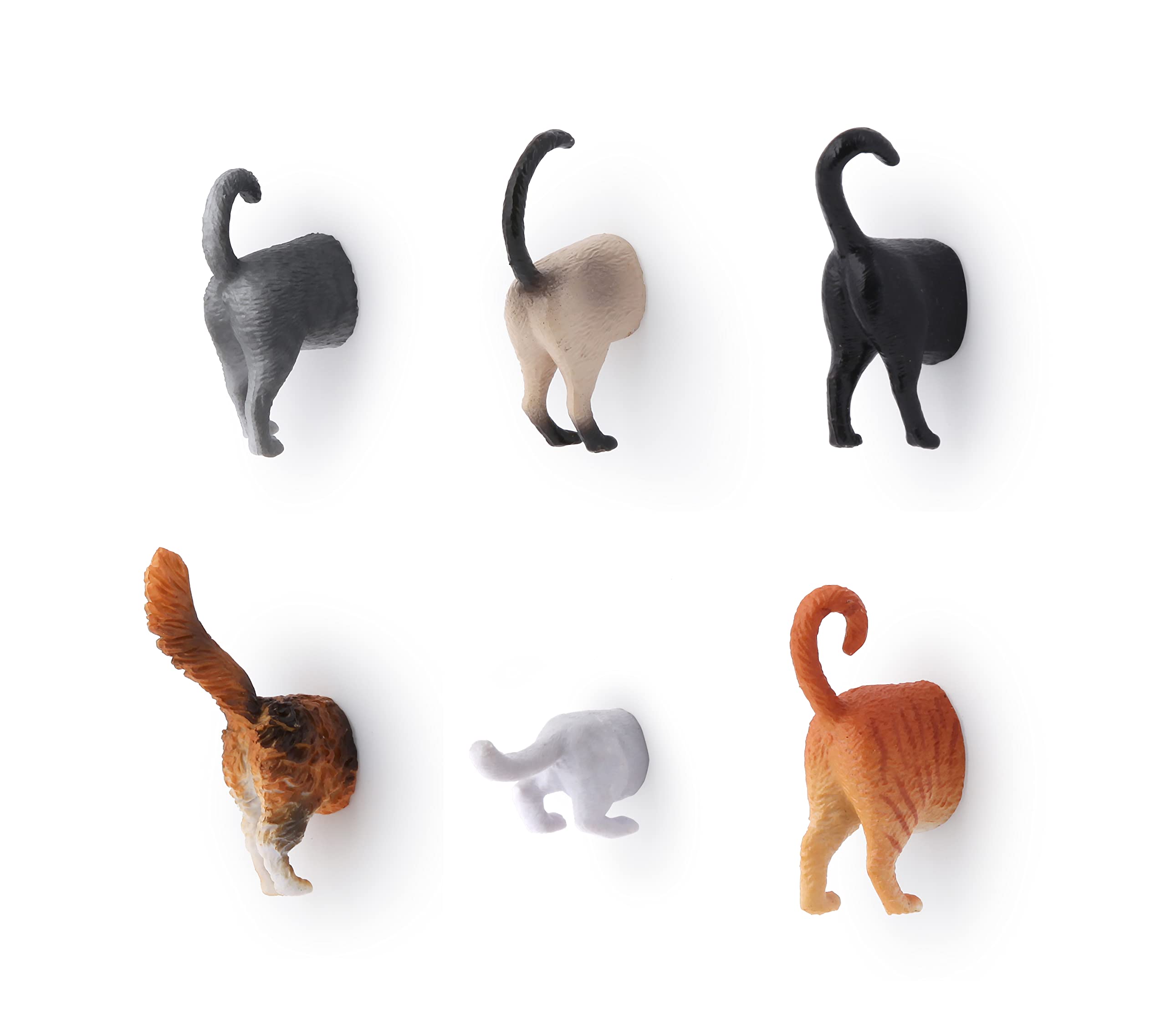 Kikkerland cat butt magnets closeup, lifelike details and humor