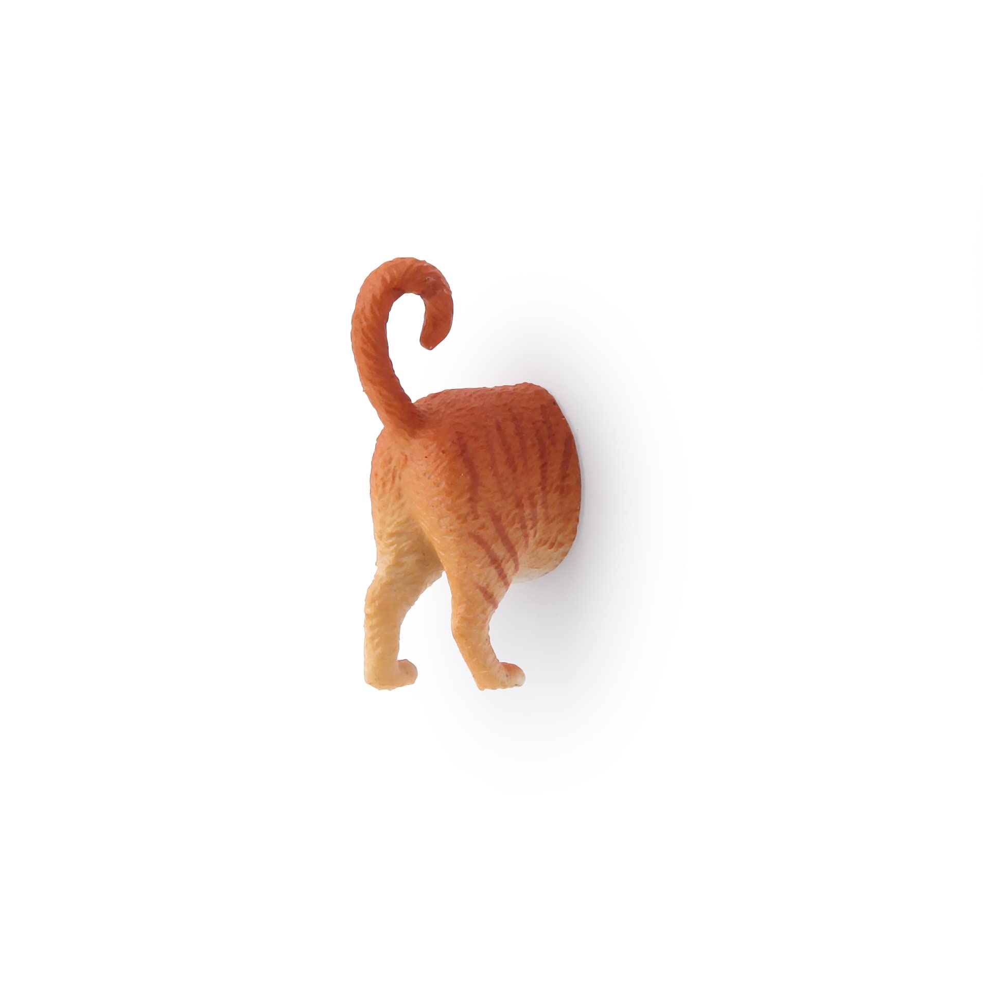 Kikkerland cat butt magnets by Steph Mantis, exclusive design