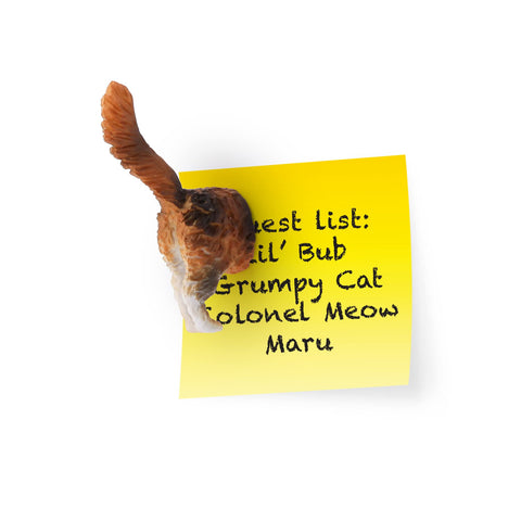 Kikkerland cat butt magnets on fridge, quirky kitchen decor