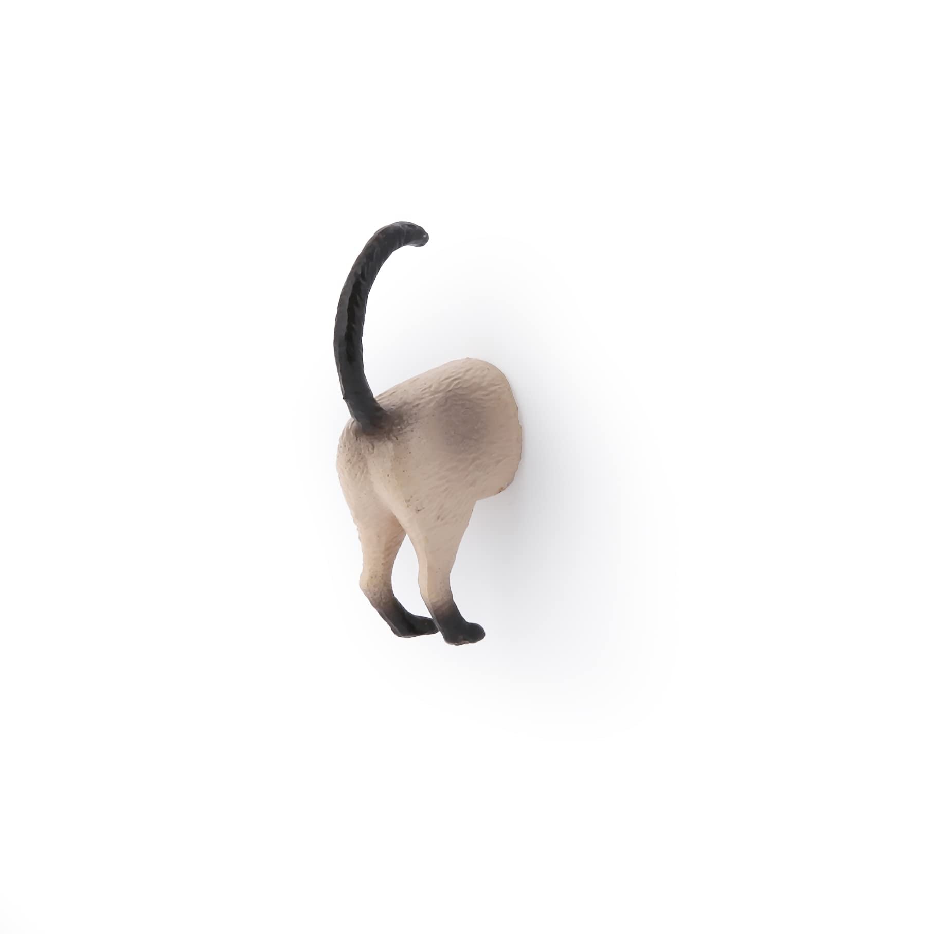 Kikkerland cat butt magnets gift idea for cat lovers