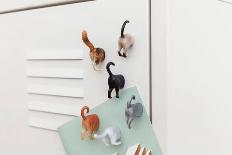 Kikkerland cat butt magnets holding photos on a surface