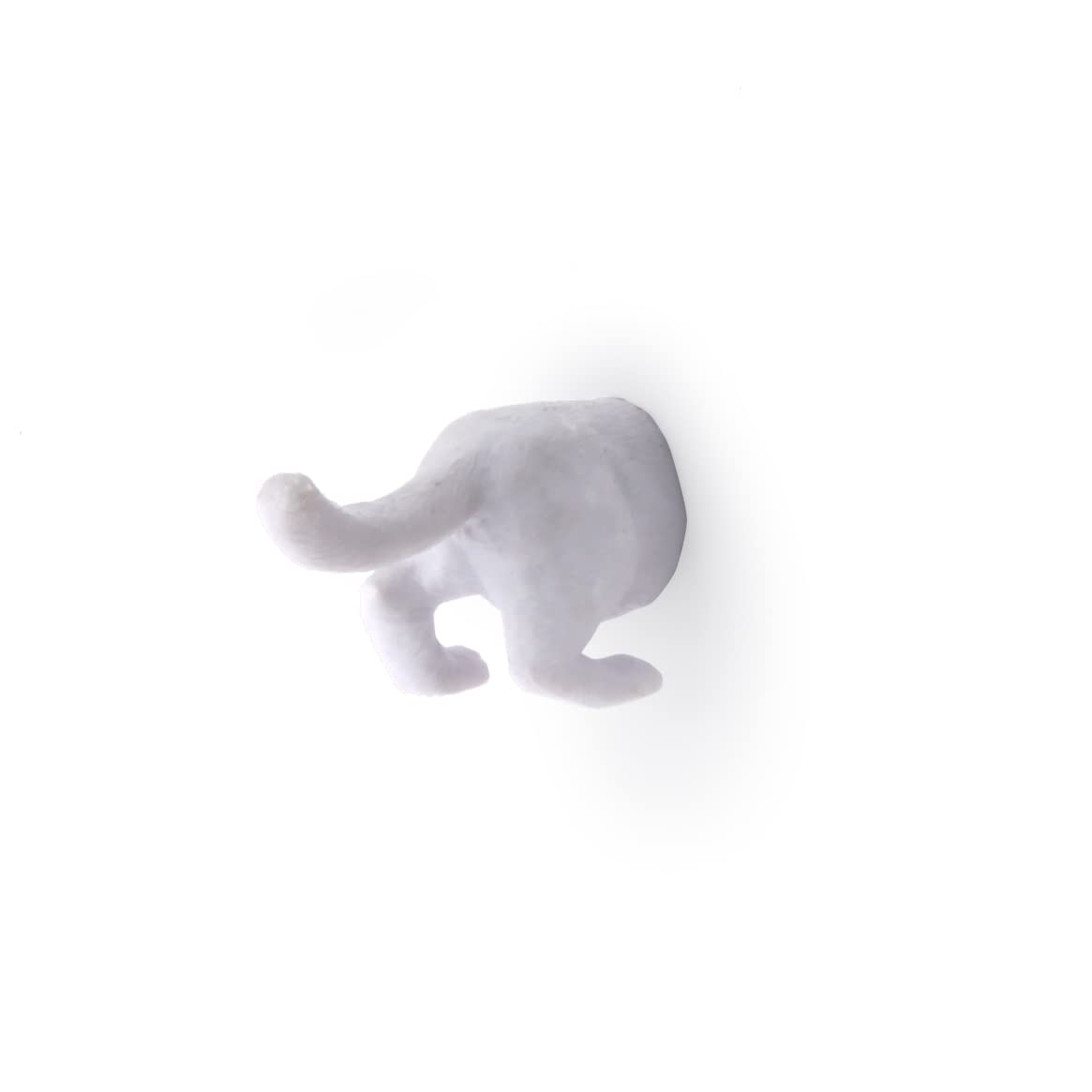 Kikkerland cat butt magnets packaging image, ready to gift