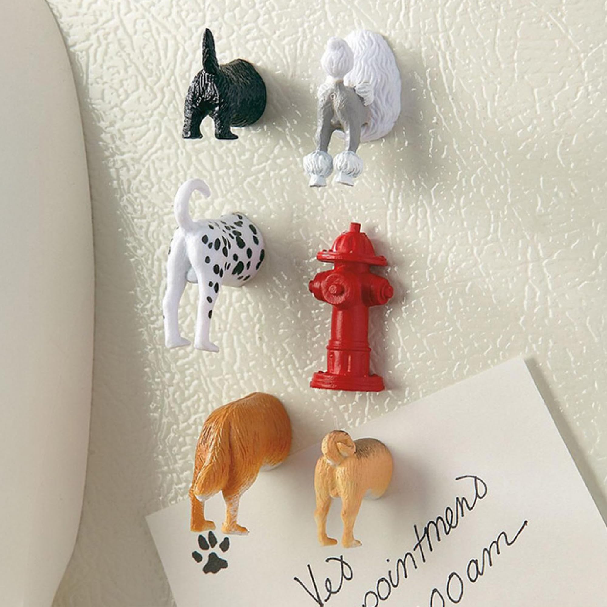 Kikkerland dog butt magnets: six whimsical magnets for memos on office boards.