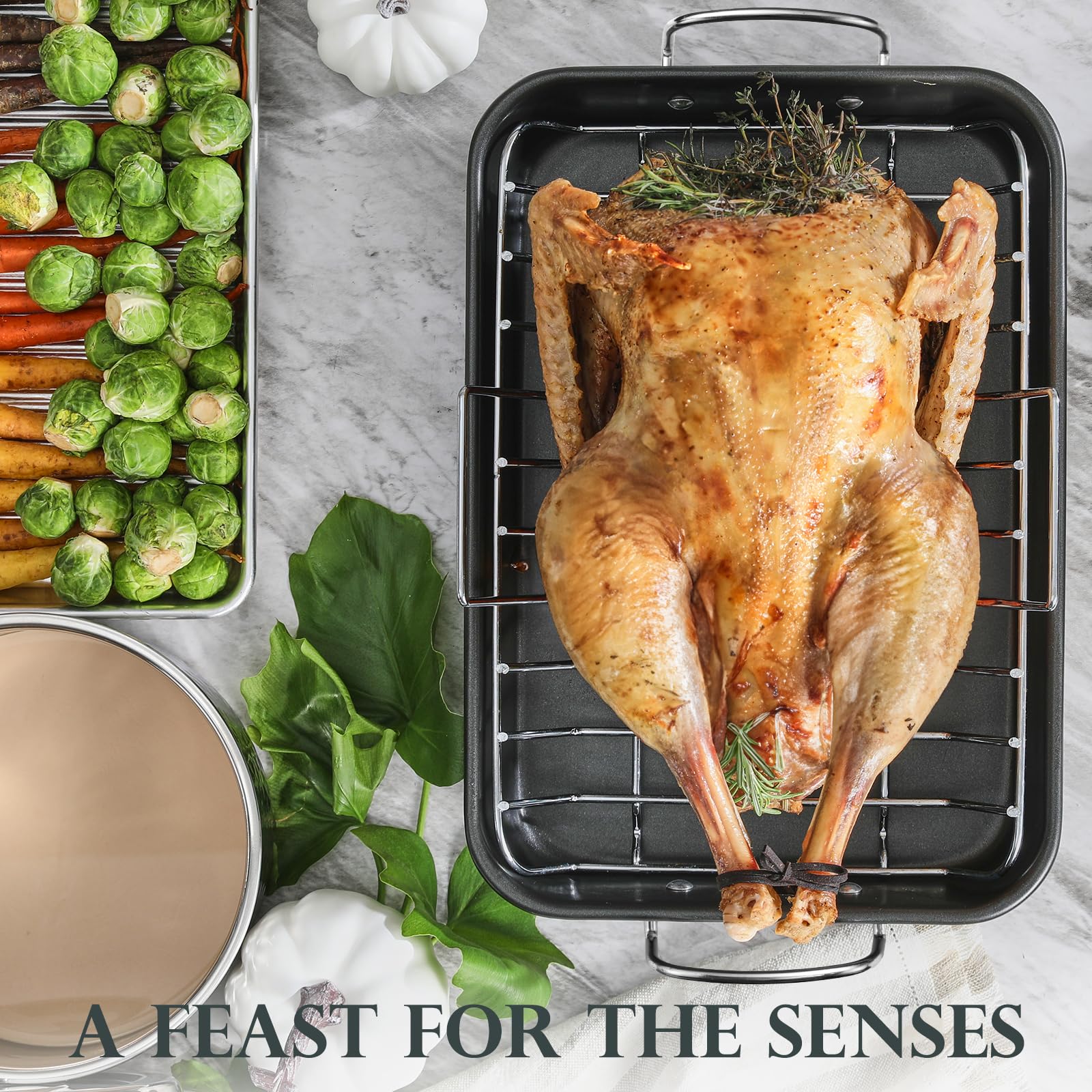 KITESSENSU 450°F capability for fast, even heating and browning