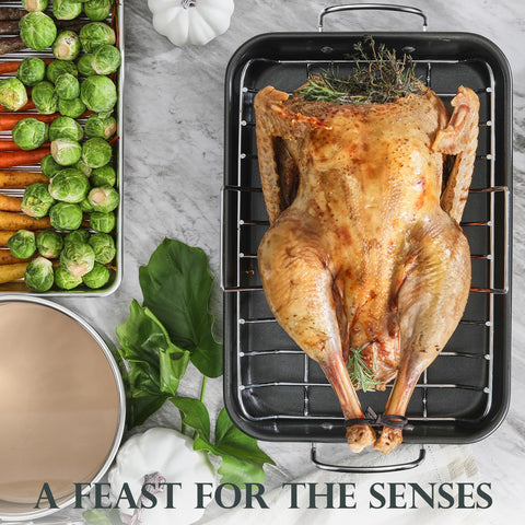 KITESSENSU 450°F capability for fast, even heating and browning