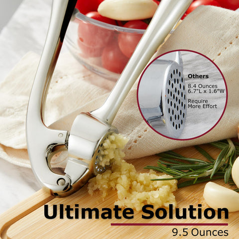 Kitessensu garlic press versatile for herbs, chilies, and seeds