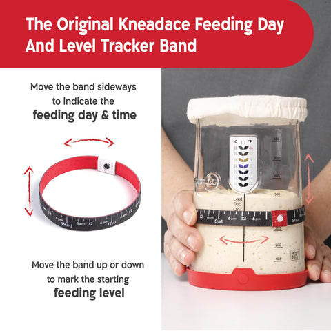 KNEADACE Pro starter jar side with thermometer shows precise temperature tracking.