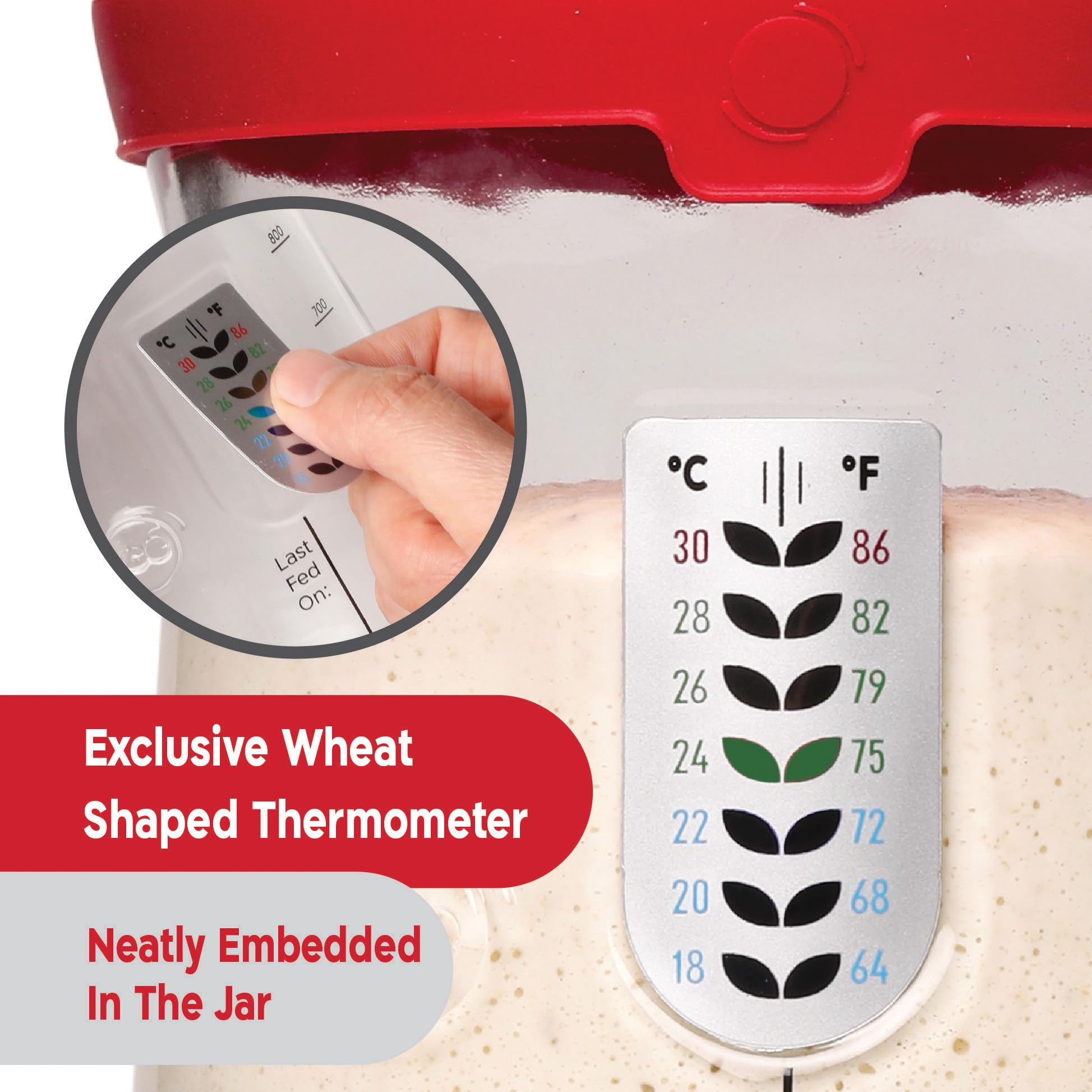 KNEADACE Pro jar with silicone cover offers anti-slip stability.