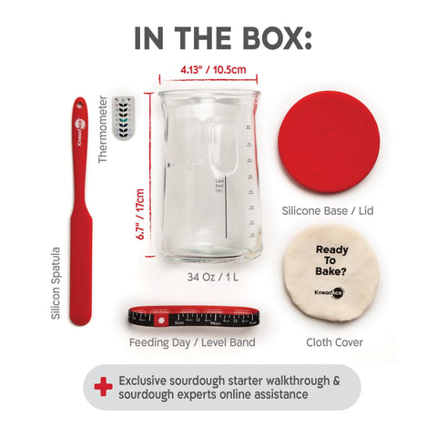 KNEADACE Pro starter kit contents including thermometer and spatula simplify baking prep.