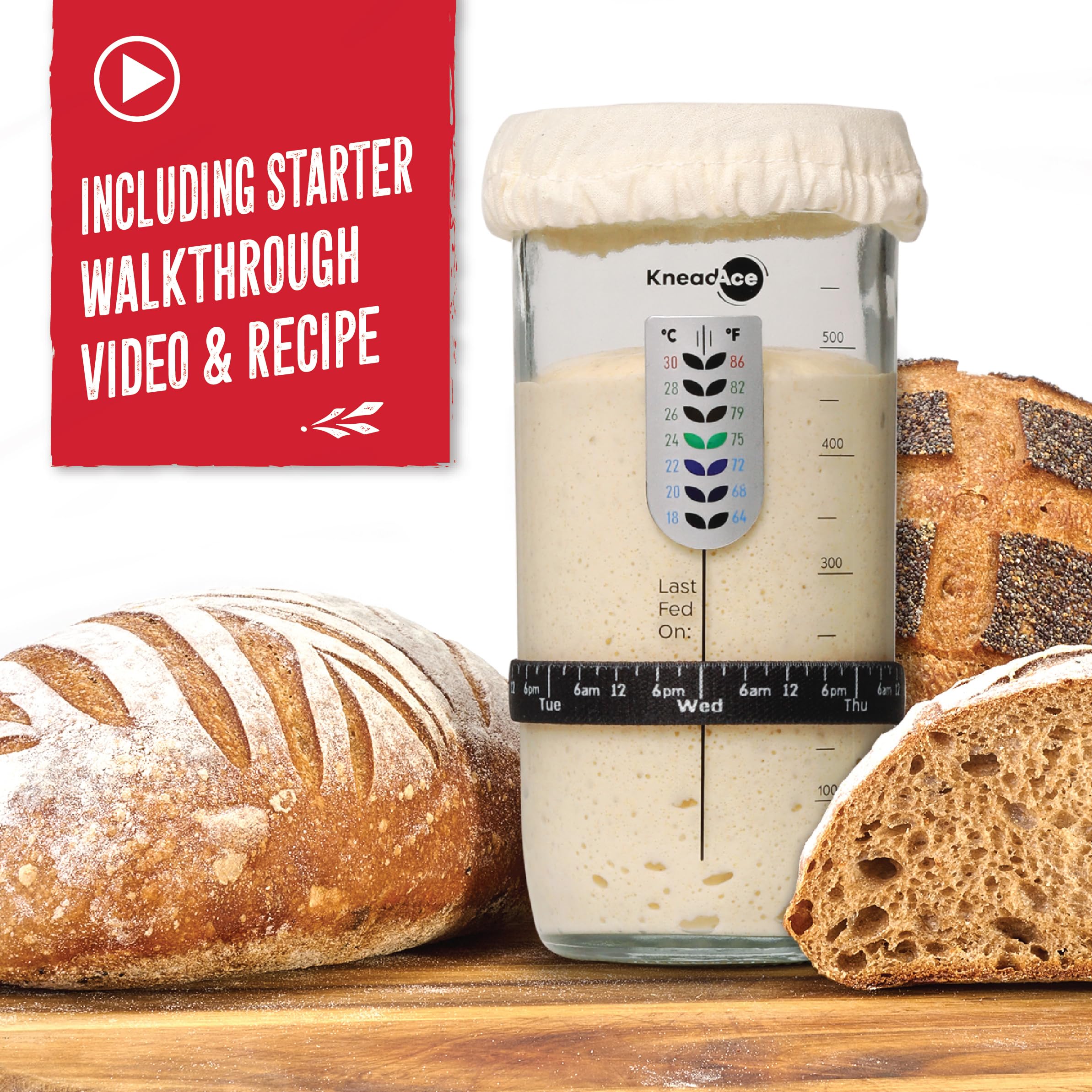 KNEADACE jar with graduation marks for feeding accuracy