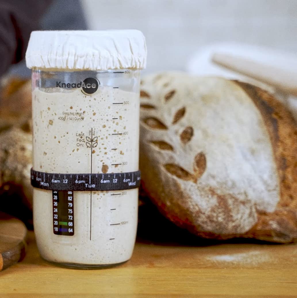 KNEADACE 2-pack sourdough starter kit ready to bake