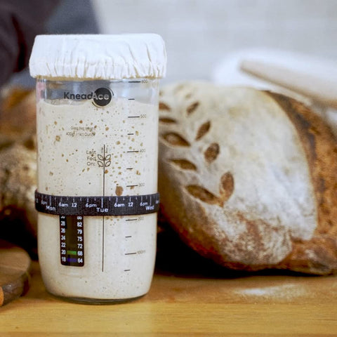 KNEADACE 2-pack sourdough starter kit ready to bake