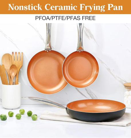 KOCH SYSTEME CS induction-compatible pan on a modern stove for versatile cooking