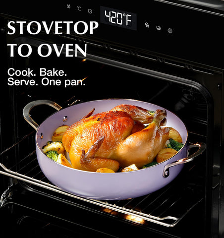 KOCH SYSTEME CS pan on induction stove showing compatibility