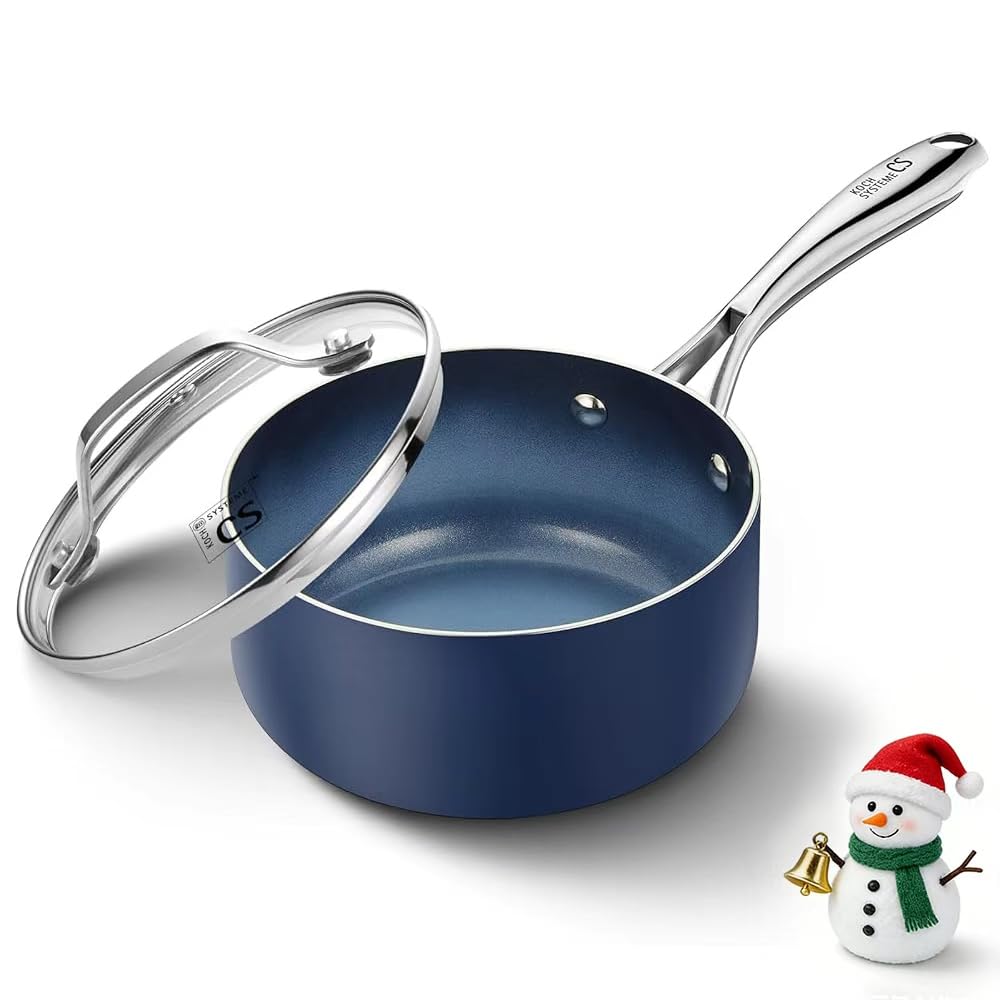 KOCH SYSTEME CS saucepan with lid 1qt; compact for small-batch heating
