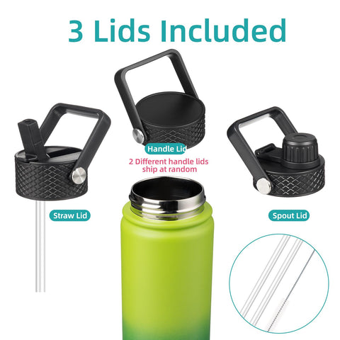 Konokyo Bamboo Grove insulated stainless bottle highlights temperature control.