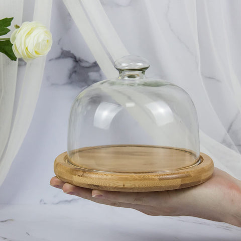 KVMORZE glass dome used as decorative plant display.