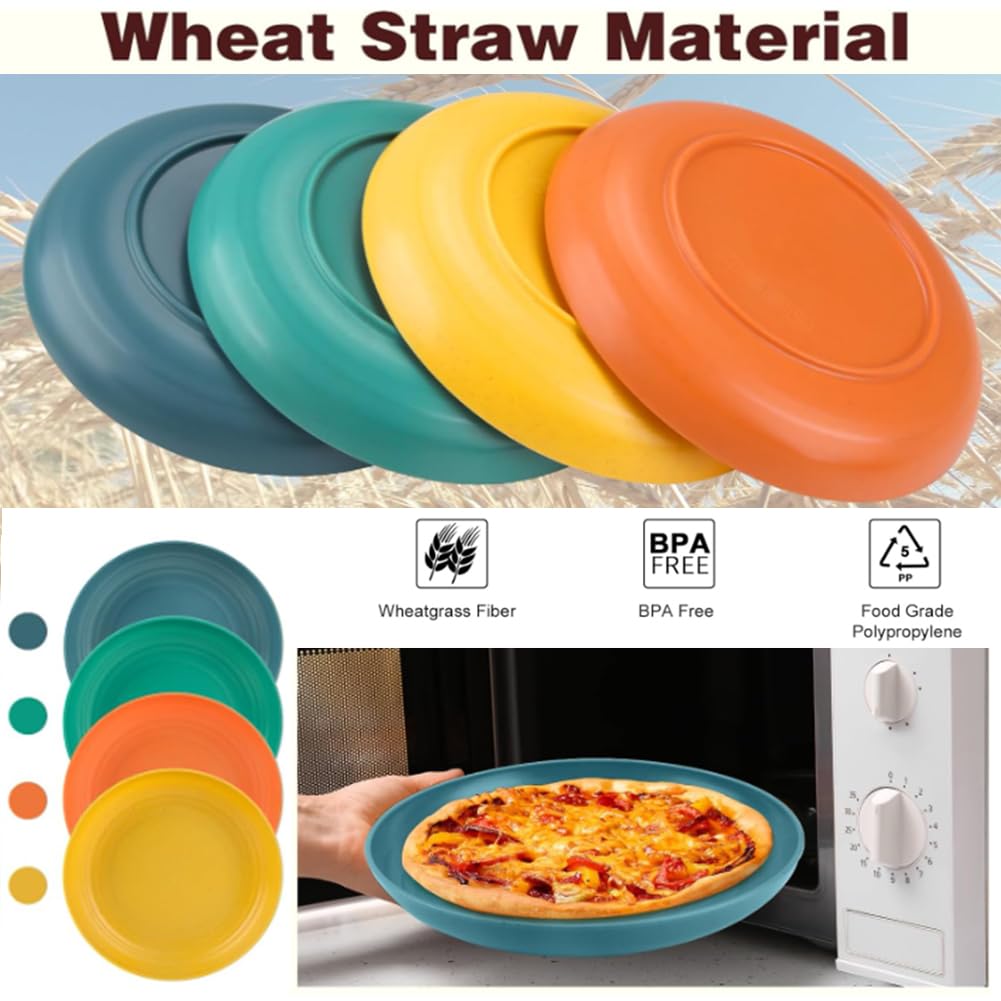 KY KANGYUN 10-inch plate ideal for outdoor use during camping or picnics