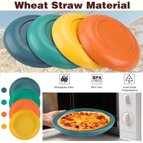KY KANGYUN 10-inch plate ideal for outdoor use during camping or picnics
