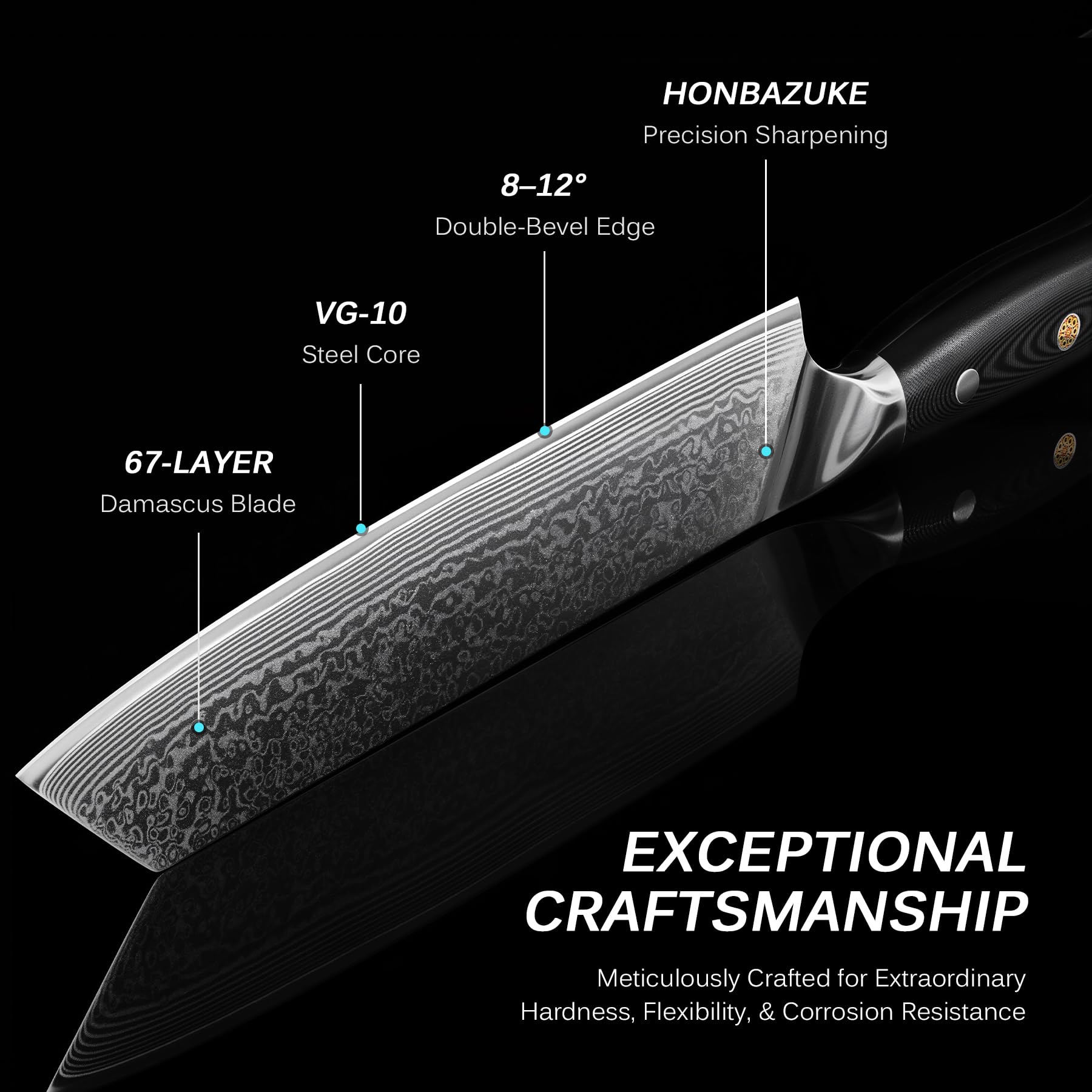 KYOKU Kiritsuke knife edge closeup shows ultra-sharp 8-12-degree grind.