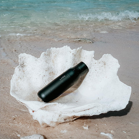 LARQ PureVis leak-proof lid for confident travel