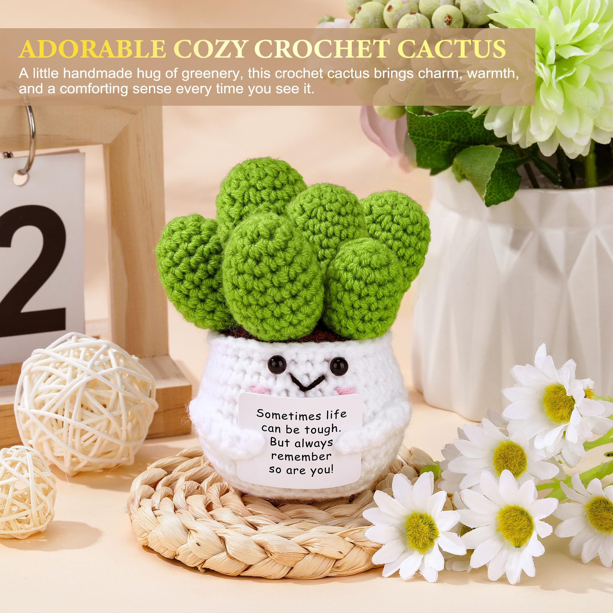 Launrada crocheted cactus hand-made uplifting decor with positive messages